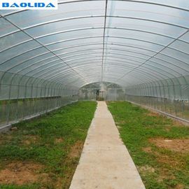 Invernadero estable de la película de polietileno de la estructura/invernadero vegetal de la planta de tomate
