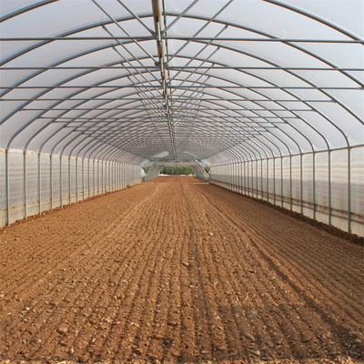 Solo invernadero del palmo del túnel plástico agrícola para la fresa