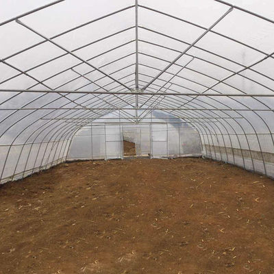 La anchura los 8m los 9m 10m hace un túnel el invernadero plástico para el crecimiento de verduras