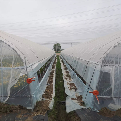 Invernadero de la película plástica del PE con el sistema de enfriamiento para la agricultura