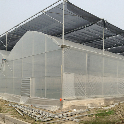 Calientes galvanizados estructuran el invernadero resistente del Multi-palmo del viento del invernadero de Polytunnel de la agricultura